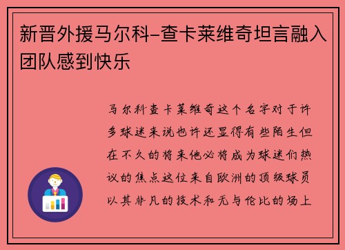 新晋外援马尔科-查卡莱维奇坦言融入团队感到快乐